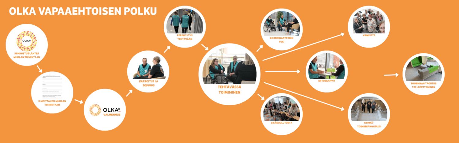 Olka vapaaehtoisen polku. Kiinnostus lähteä mukaan toimintaan. Ilmoitaudu mukaan toimintaan. valmennus. Kartoitus ja sopimus. perehdytys tehtävään. tehtävässä toimiminen. koordinaattorin tuki. kiitoskahvit. lisäkoulutus. virkistys. ryhmätoiminnanohajus. toiminnan tauotus tai lopettaminen.